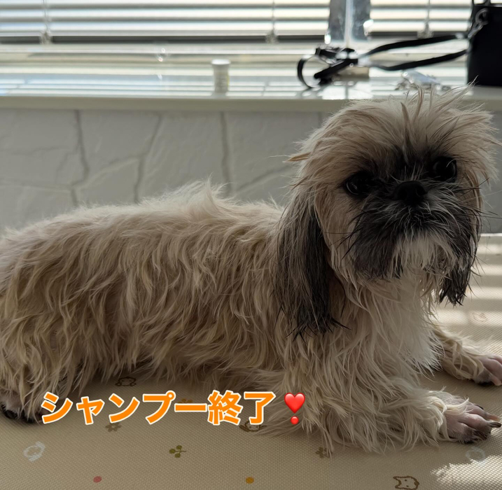 画像375