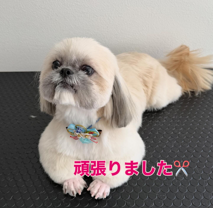 画像376