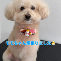 画像378
