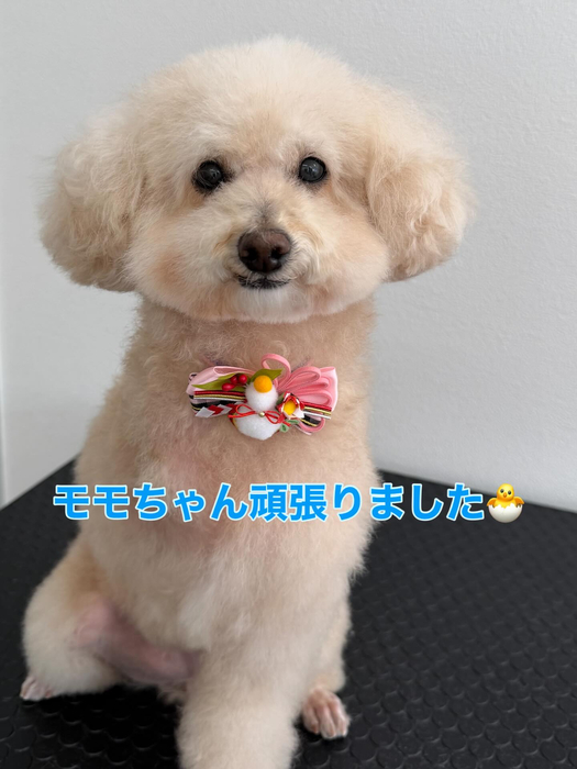 画像378