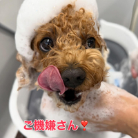 画像382