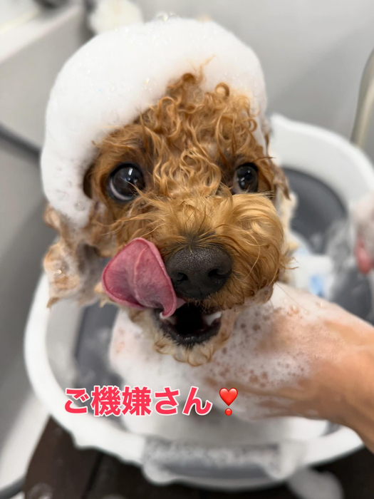 画像382