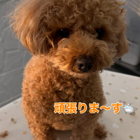 画像383