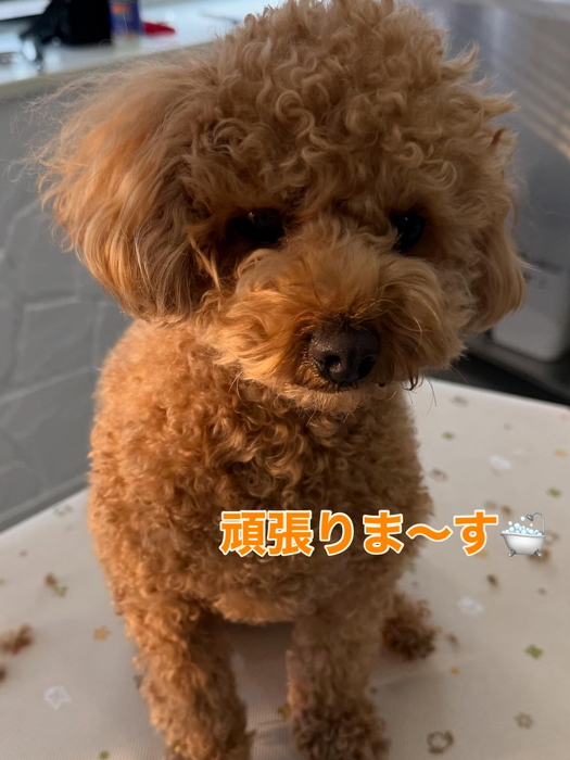 画像383