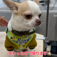 画像387