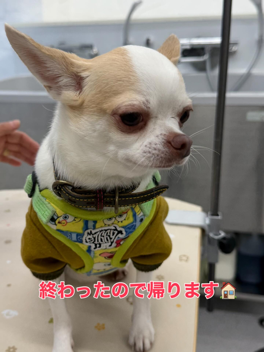 画像387