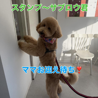 画像389