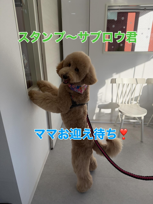 画像389