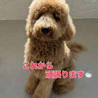 画像390