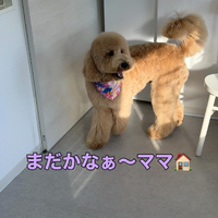画像393