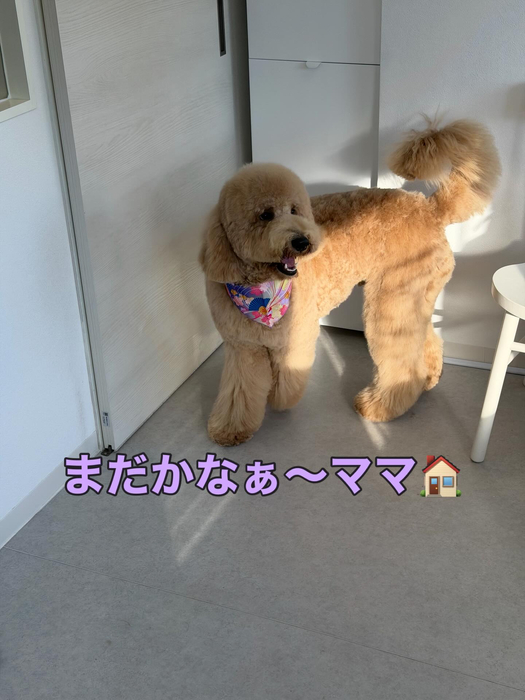 画像393
