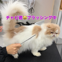 画像395