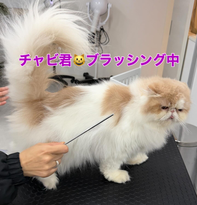 画像395
