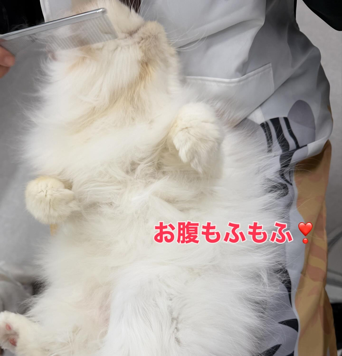 画像396