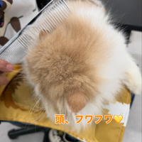 画像397