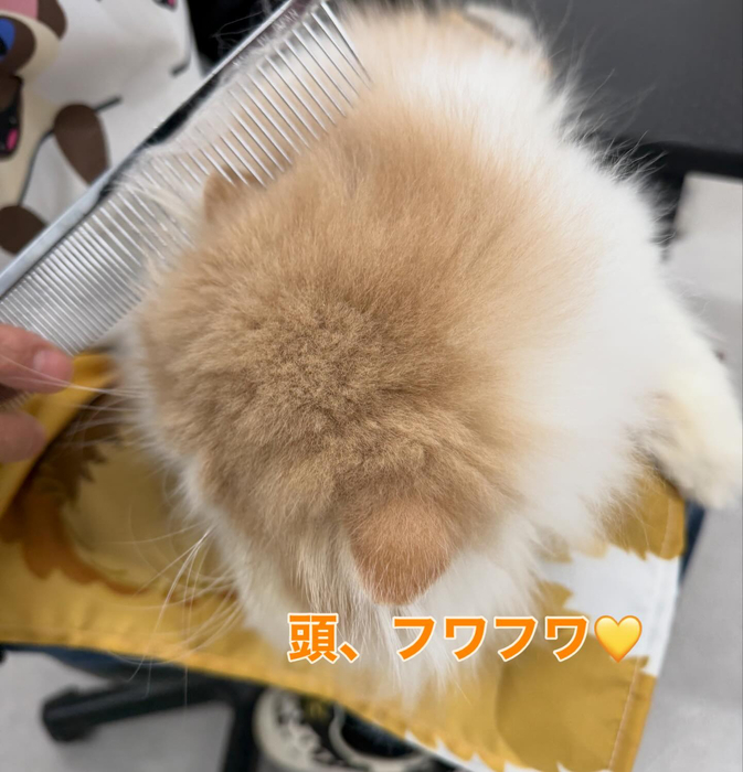 画像397