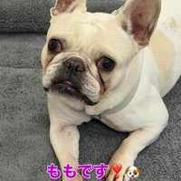 画像400