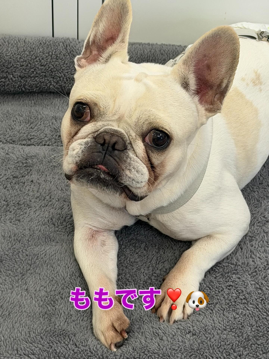 画像400