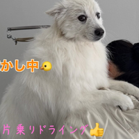 画像403