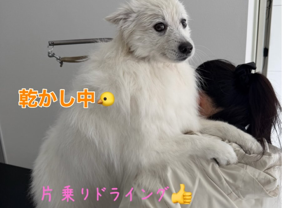 画像403