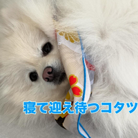 画像404