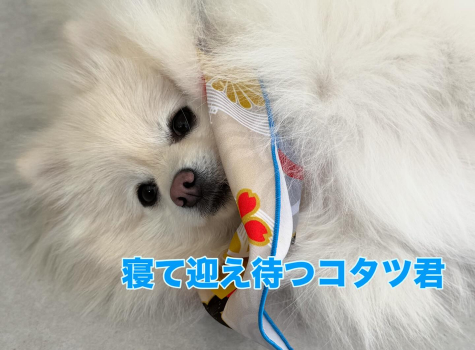 画像404