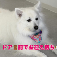 画像405