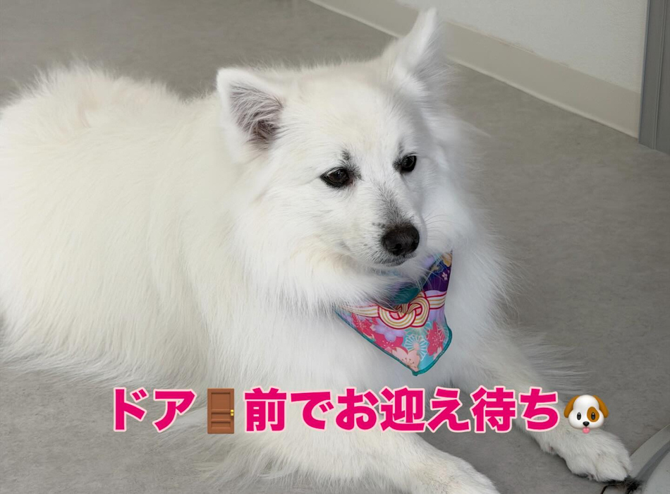 画像405