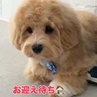 画像407