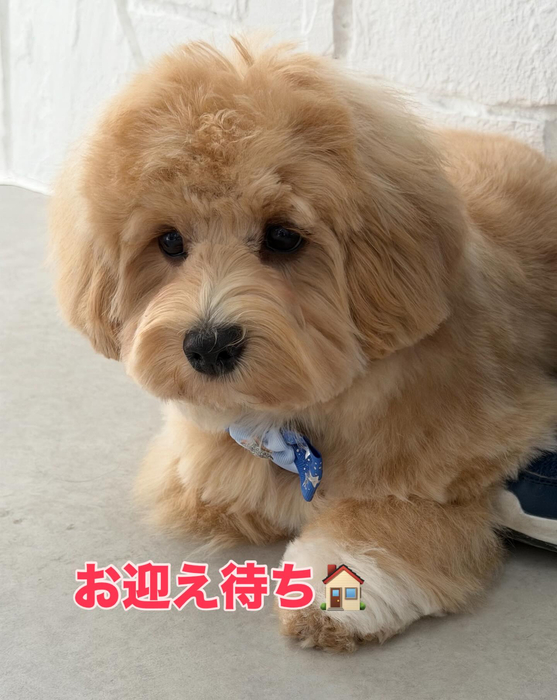画像407