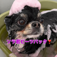 画像411