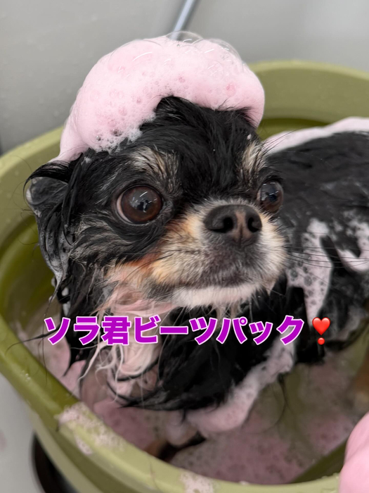 画像411