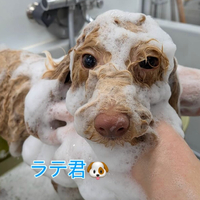 画像413