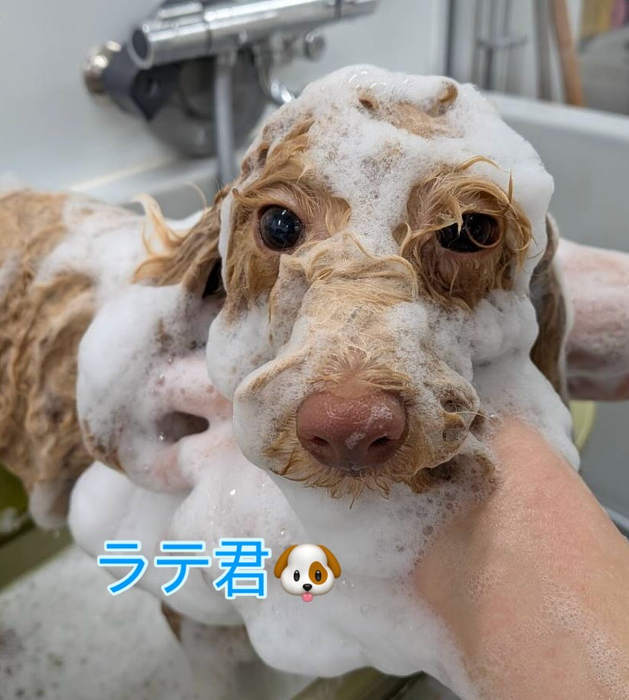 画像413