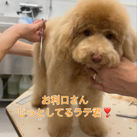 画像414