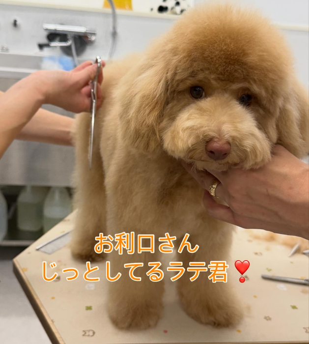 画像414