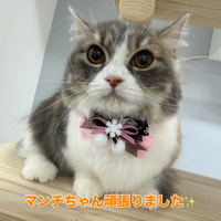 画像417