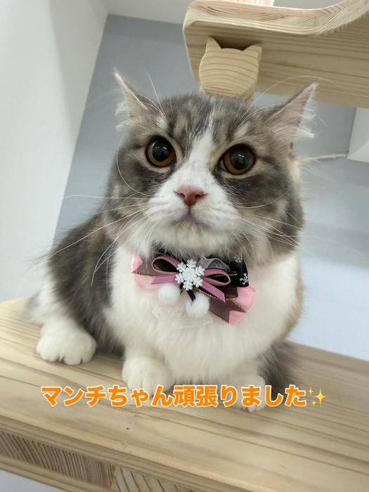 画像417