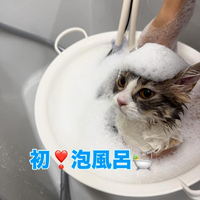 画像419