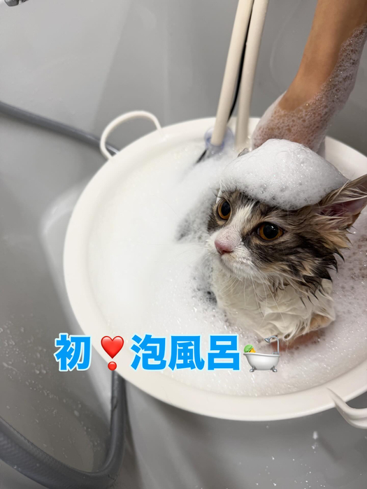 画像419