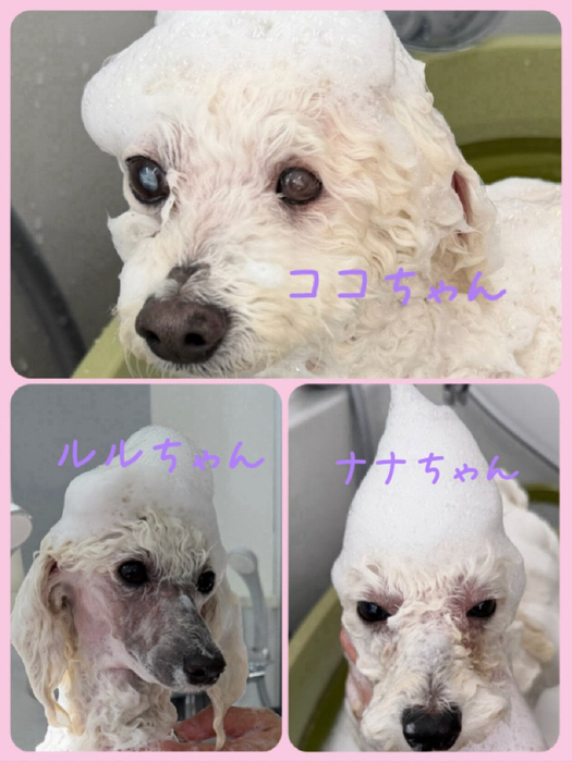 画像421