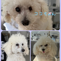 画像422