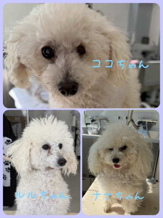 画像422