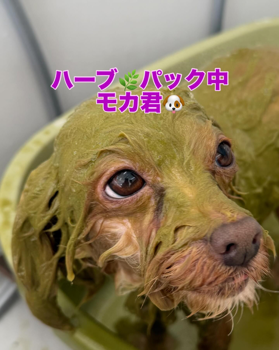 画像425