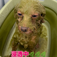 画像426