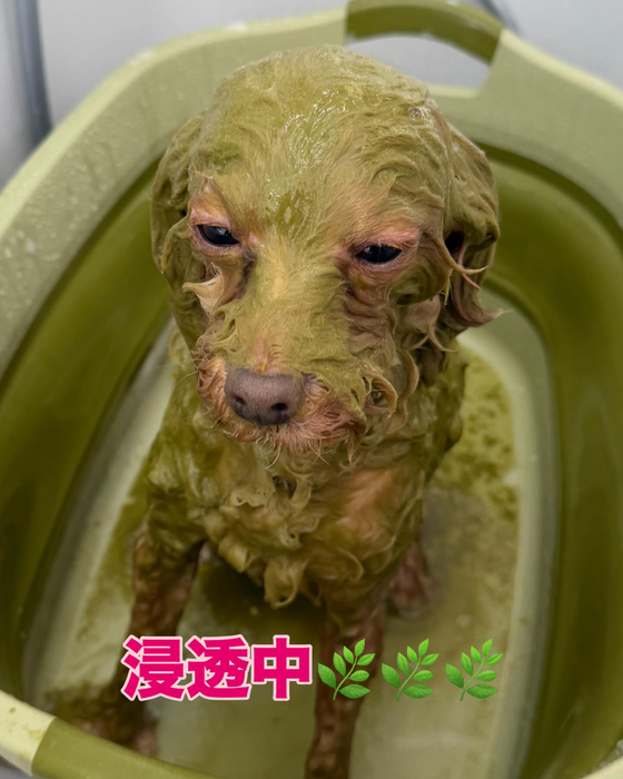 画像426
