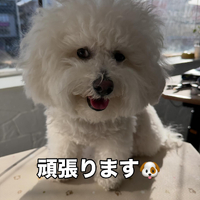 画像429