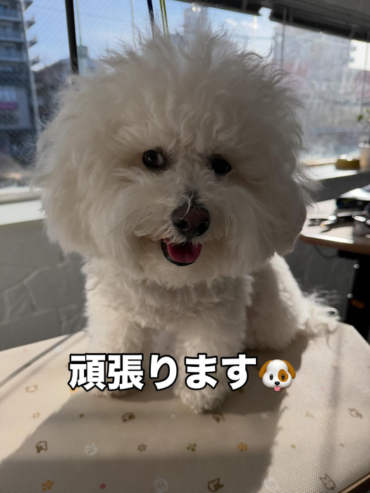 画像429