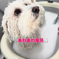 画像431