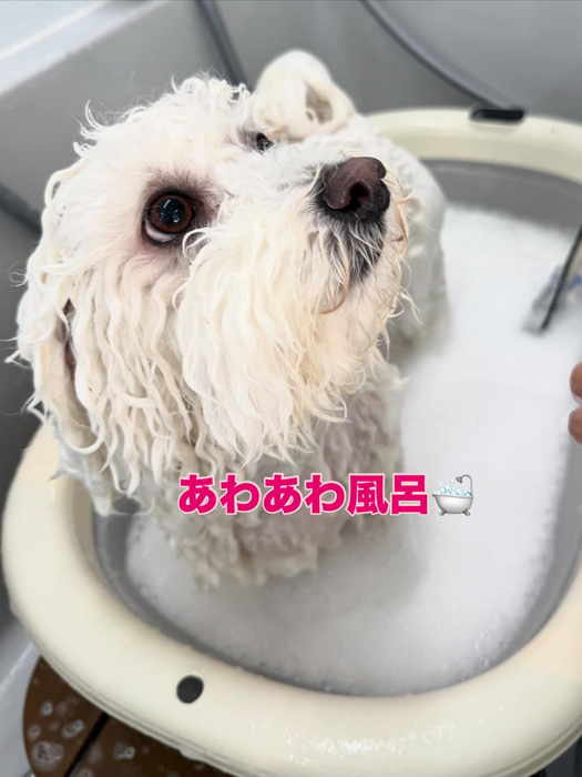 画像431